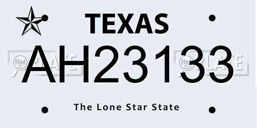 AH23133 Texas License Plate
