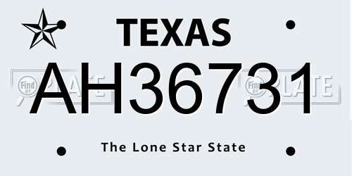 AH36731 Texas License Plate
