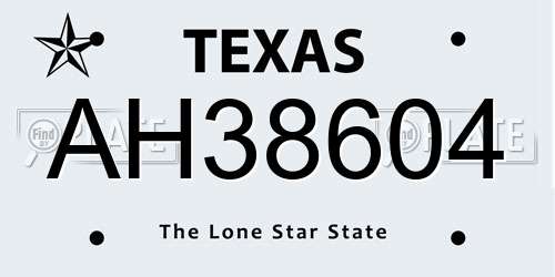 AH38604 Texas License Plate