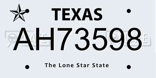 AH73598 Texas License Plate