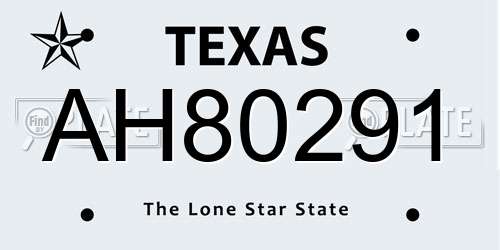 AH80291 Texas License Plate