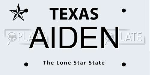 AIDEN Texas License Plate