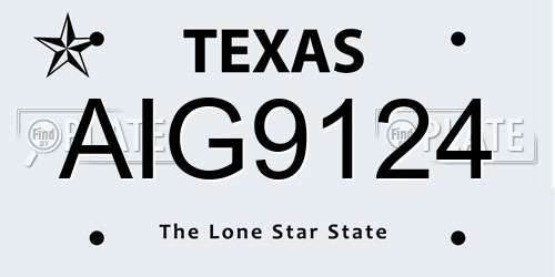AIG9124 Texas License Plate