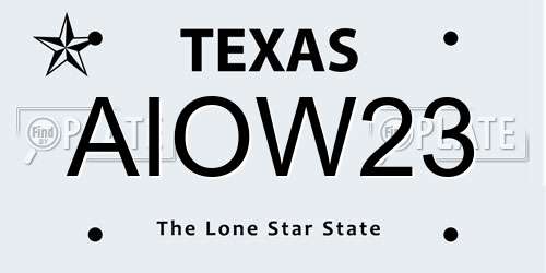AIOW23 Texas License Plate