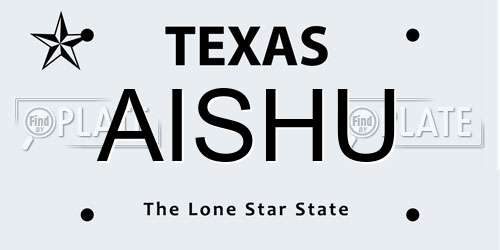 AISHU Texas License Plate