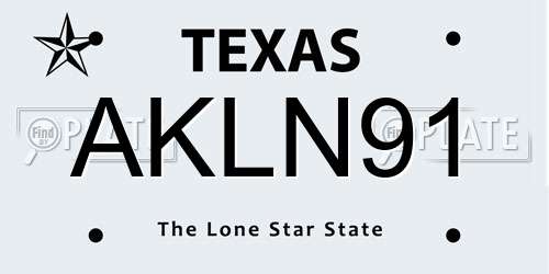 AKLN91 Texas License Plate