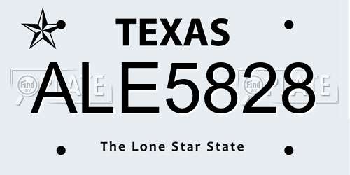 ALE5828 Texas License Plate