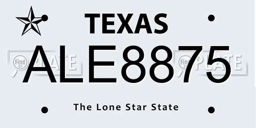 ALE8875 Texas License Plate