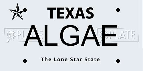 ALGAE Texas License Plate