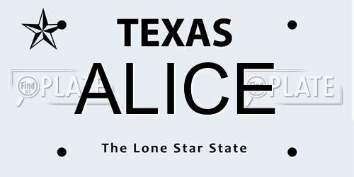 ALICE Texas License Plate