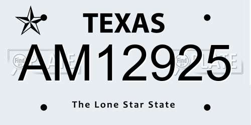 AM12925 Texas License Plate