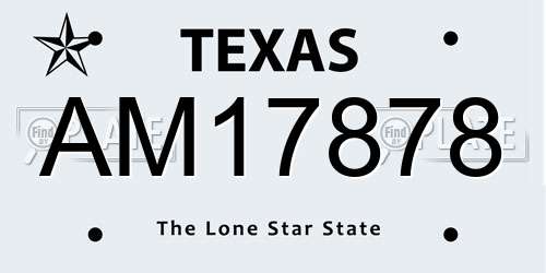 AM17878 Texas License Plate