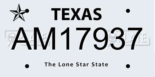 AM17937 Texas License Plate