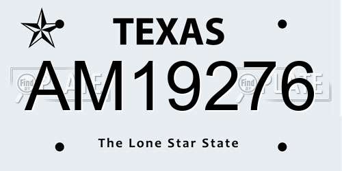 AM19276 Texas License Plate