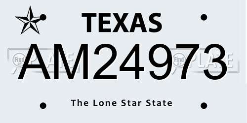 AM24973 Texas License Plate