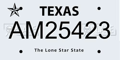 AM25423 Texas License Plate