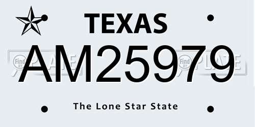 AM25979 Texas License Plate