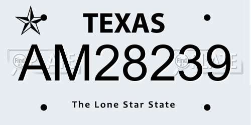 AM28239 Texas License Plate