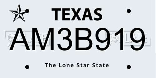 AM3B919 Texas License Plate
