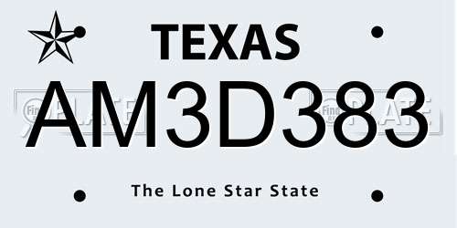 AM3D383 Texas License Plate