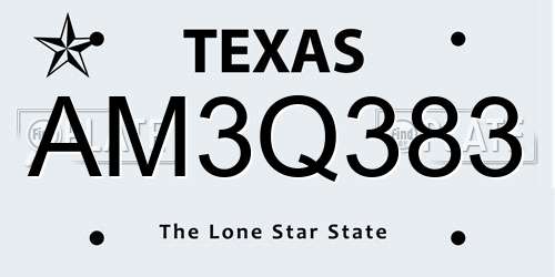 AM3Q383 Texas License Plate