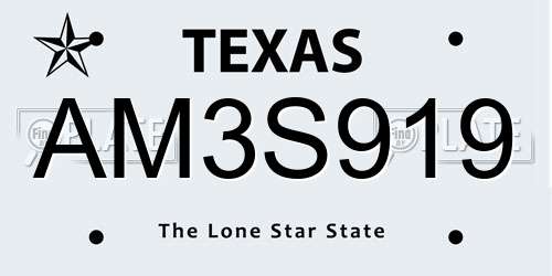 AM3S919 Texas License Plate