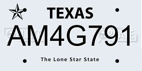 AM4G791 Texas License Plate
