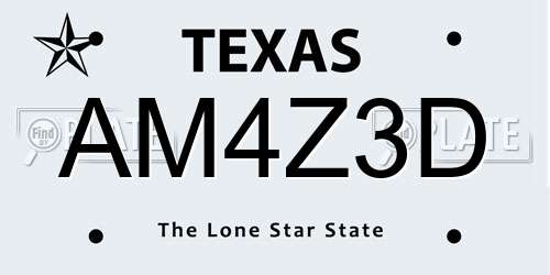 AM4Z3D Texas License Plate