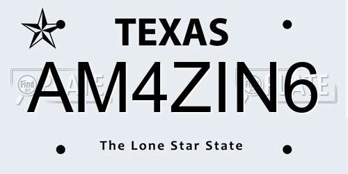 AM4ZIN6 Texas License Plate