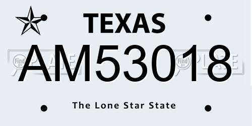 AM53018 Texas License Plate