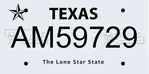 AM59729 Texas License Plate