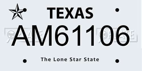 AM61106 Texas License Plate