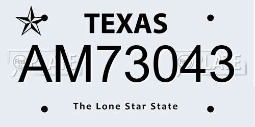AM73043 Texas License Plate