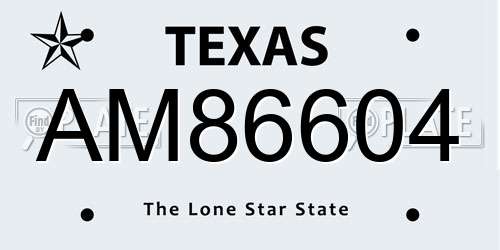 AM86604 Texas License Plate