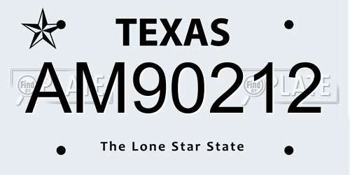 AM90212 Texas License Plate