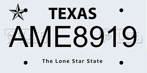 AME8919 Texas License Plate