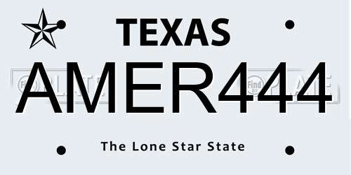 AMER444 Texas License Plate