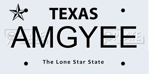 AMGYEE Texas License Plate