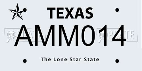 AMM014 Texas License Plate