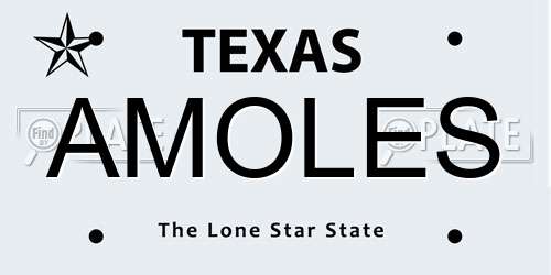 AMOLES Texas License Plate