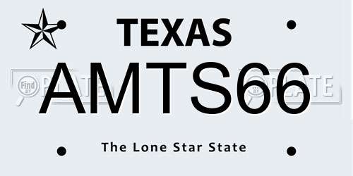 AMTS66 Texas License Plate