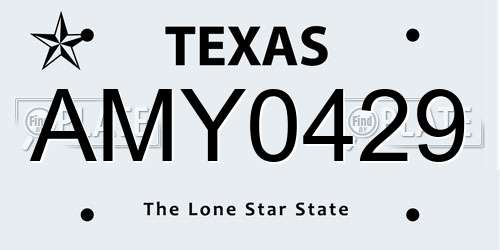 AMY0429 Texas License Plate