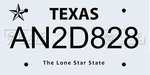 AN2D828 Texas License Plate