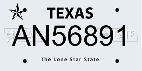 AN56891 Texas License Plate