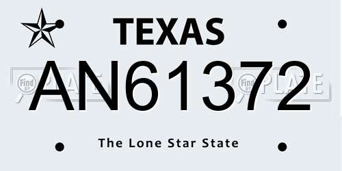 AN61372 Texas License Plate