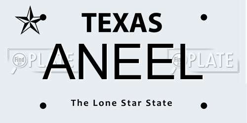 ANEEL Texas License Plate