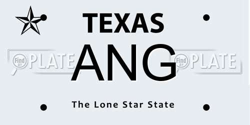 ANG Texas License Plate