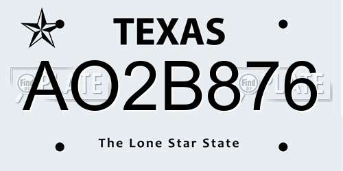 AO2B876 Texas License Plate