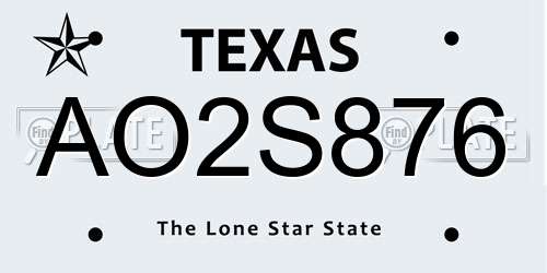 AO2S876 Texas License Plate