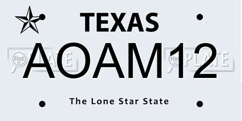 AOAM12 Texas License Plate